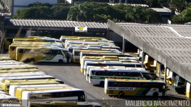 Empresa Gontijo de Transportes 9975 na cidade de Belo Horizonte, Minas Gerais, Brasil, por Maurício Nascimento. ID da foto: 3506924.