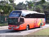 Chilebus Internacional 223 na cidade de São Paulo, São Paulo, Brasil, por Diego Henrique. Número da foto: #3508066.