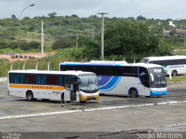 Águia Dourada 2054 na cidade de Aracaju, Sergipe, Brasil, por Sergio Marques . Número da foto: #3472231.