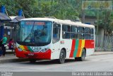 Viação Bom Jesus > VTL - Viação Trans Líder 1369 na cidade de Cubatão, São Paulo, Brasil, por Ricardo Luiz. Número da foto: #3510414.