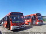 Expresso Luziense > Territorial Com. Part. e Empreendimentos 30093 na cidade de Santa Luzia, Minas Gerais, Brasil, por Gabriel Oliveira. Número da foto: #3512273.