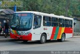Viação Bom Jesus > VTL - Viação Trans Líder 1361 na cidade de Cubatão, São Paulo, Brasil, por Ricardo Luiz. Número da foto: #3512467.