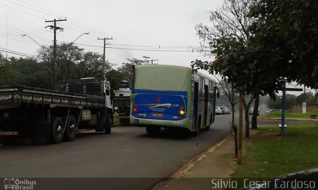 TCPP - Transporte Coletivo Presidente Prudente 19402 na cidade de Presidente Prudente, São Paulo, Brasil, por Silvio  Cesar Cardoso. Número da foto: #3515543.
