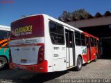 Expresso Luziense > Territorial Com. Part. e Empreendimentos 30221 na cidade de Santa Luzia, Minas Gerais, Brasil, por Daniel Saraiva Cordeiro. Número da foto: #3517321.