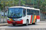 Viação Bom Jesus > VTL - Viação Trans Líder 1367 na cidade de Cubatão, São Paulo, Brasil, por Ricardo Luiz. Número da foto: #3519446.