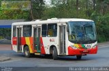 Viação Bom Jesus > VTL - Viação Trans Líder 1360 na cidade de Cubatão, São Paulo, Brasil, por Ricardo Luiz. Número da foto: #3519392.