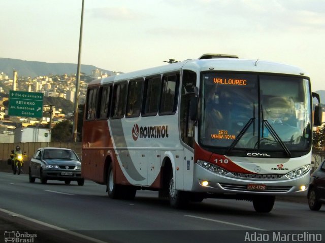 Rouxinol 110 na cidade de Belo Horizonte, Minas Gerais, Brasil, por Adão Raimundo Marcelino. Número da foto: #3521924.