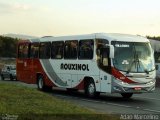 Rouxinol 550 na cidade de Belo Horizonte, Minas Gerais, Brasil, por Adão Raimundo Marcelino. Número da foto: #3521914.