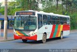Viação Bom Jesus > VTL - Viação Trans Líder 1326 na cidade de Cubatão, São Paulo, Brasil, por Ricardo Luiz. Número da foto: #3523804.