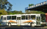 Jandaia Transportes e Turismo 1690 na cidade de Presidente Prudente, São Paulo, Brasil, por Phelipe Gabriel Campos de Souza. Número da foto: #3522537.