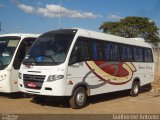 Vera Cruz Transporte e Turismo 2520 na cidade de Araxá, Minas Gerais, Brasil, por Guilherme Antonio. Número da foto: #3526108.