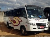 Vera Cruz Transporte e Turismo 2530 na cidade de Araxá, Minas Gerais, Brasil, por Guilherme Antonio. Número da foto: #3526096.