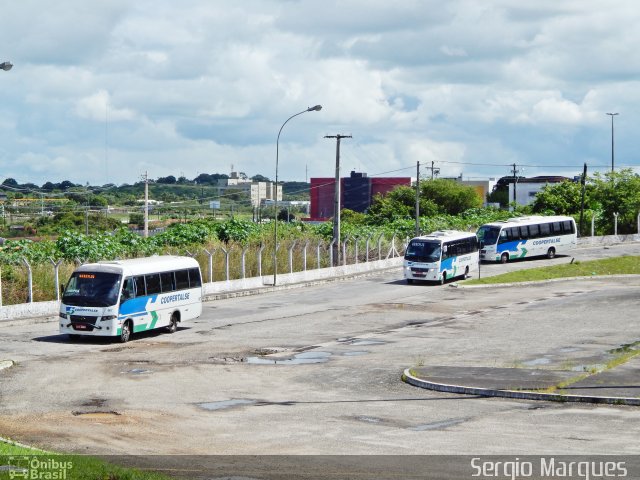 Coopertalse 067 na cidade de Aracaju, Sergipe, Brasil, por Sergio Marques . ID da foto: 3527348.