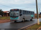 Rosa Turismo 13529 na cidade de Itapetininga, São Paulo, Brasil, por Carlos Augusto Sousa. ID da foto: :id.