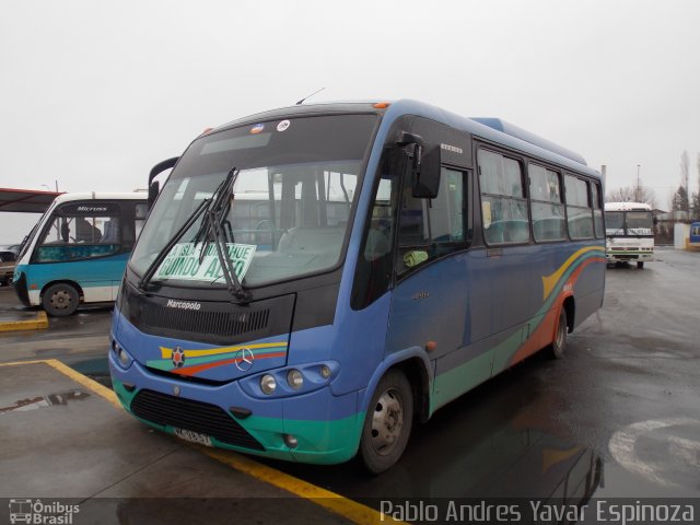 Buses Valenzuela 01 na cidade de Santa Cruz, Colchagua, Libertador General Bernardo O'Higgins, Chile, por Pablo Andres Yavar Espinoza. Número da foto: #3531401.