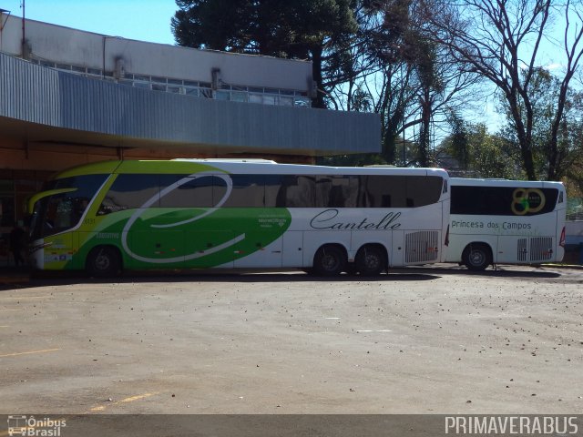 Cantelle Viagens e Turismo 6131 na cidade de Francisco Beltrão, Paraná, Brasil, por Alexandre Rodrigo. Número da foto: #3533739.