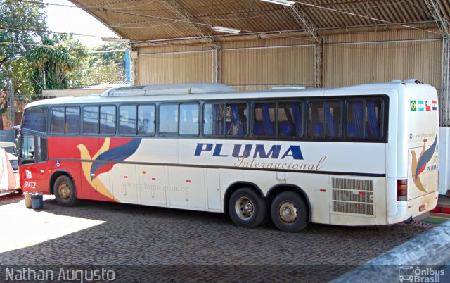 Pluma Conforto e Turismo 3972 na cidade de Londrina, Paraná, Brasil, por Nathan Augusto. Número da foto: #3532847.