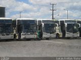 Empresa Gontijo de Transportes 15175 na cidade de Feira de Santana, Bahia, Brasil, por Lucas Freitas Viana. Número da foto: #3534388.