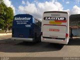 Saritur - Santa Rita Transporte Urbano e Rodoviário 19880 na cidade de Coroaci, Minas Gerais, Brasil, por Fabri Ferreira. Número da foto: #3536098.