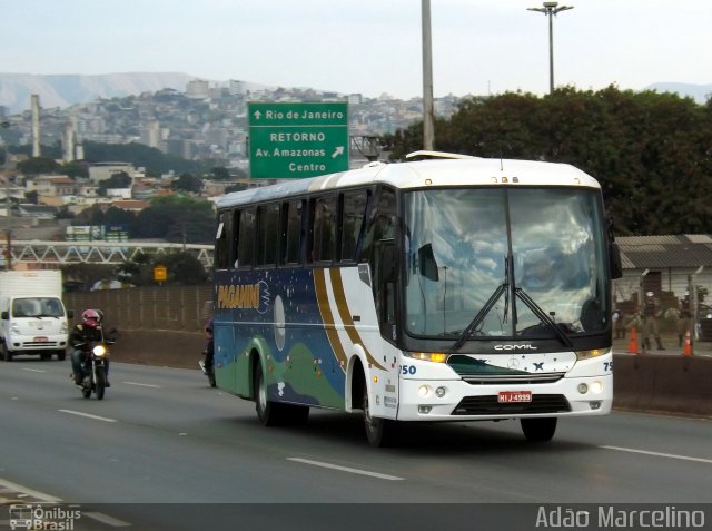 Paganini > Pagani Fretamentos Vip 750 na cidade de Belo Horizonte, Minas Gerais, Brasil, por Adão Raimundo Marcelino. Número da foto: #3479317.