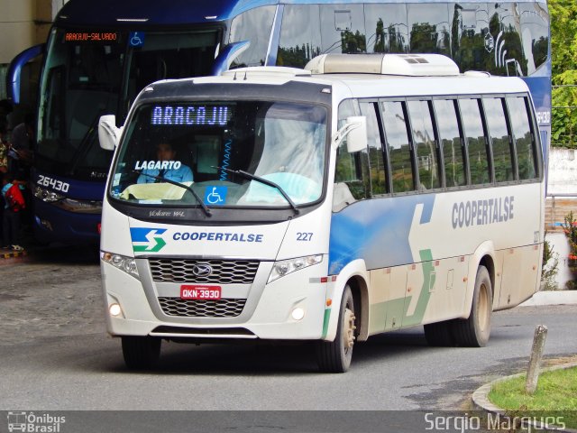 Coopertalse 227 na cidade de Aracaju, Sergipe, Brasil, por Sergio Marques . Número da foto: #3478516.