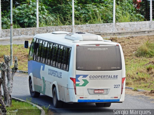 Coopertalse 227 na cidade de Aracaju, Sergipe, Brasil, por Sergio Marques . Número da foto: #3478526.