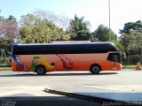 Chilebus Internacional 223 na cidade de São Paulo, São Paulo, Brasil, por Josivaldo Oliveira. Número da foto: #3539669.