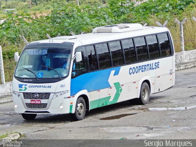 Coopertalse 227 na cidade de Aracaju, Sergipe, Brasil, por Sergio Marques . ID da foto: 3561332.