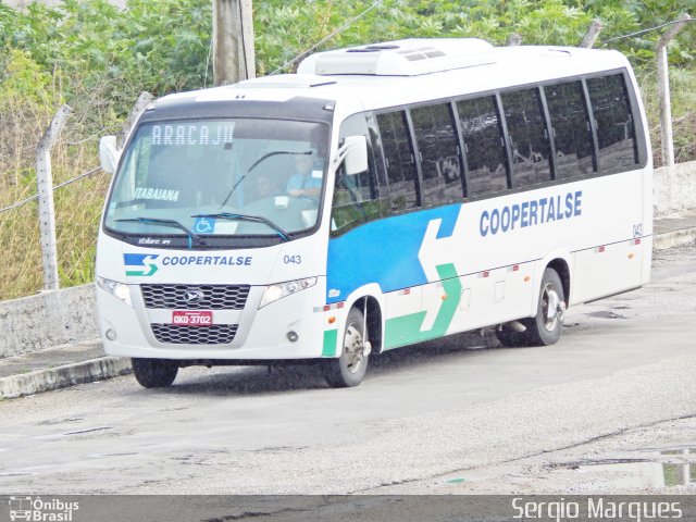 Coopertalse 043 na cidade de Aracaju, Sergipe, Brasil, por Sergio Marques . Número da foto: #3562200.