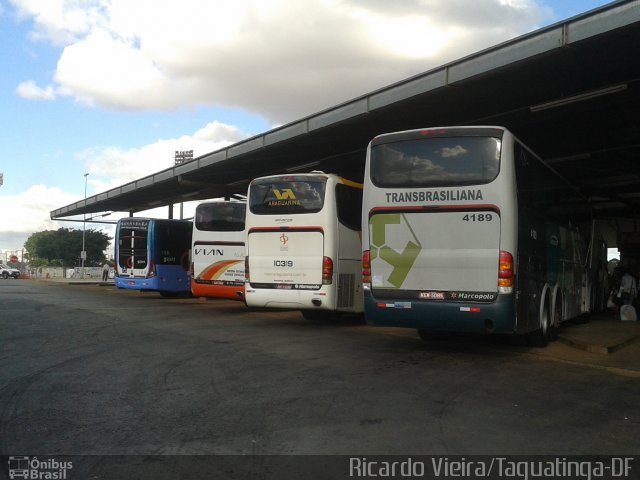 Transbrasiliana Transportes e Turismo 4189 na cidade de Taguatinga, Distrito Federal, Brasil, por Ricardo Vieira. ID da foto: 3565497.