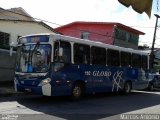 Transportadora Globo 110 na cidade de Recife, Pernambuco, Brasil, por Marcos Antônio. ID da foto: :id.