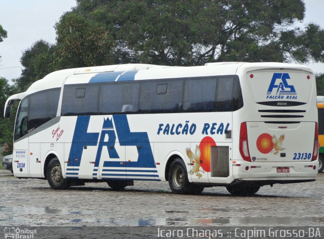 Falcão Real 23130 na cidade de Capim Grosso, Bahia, Brasil, por Ícaro Chagas. ID da foto: 3569069.