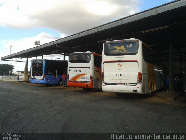 Viação Araguarina 10319 na cidade de Taguatinga, Distrito Federal, Brasil, por Ricardo Vieira. ID da foto: 3578346.