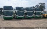Verde Transportes 4504 na cidade de Caxias do Sul, Rio Grande do Sul, Brasil, por Eduardo Benetti . Número da foto: #3578530.