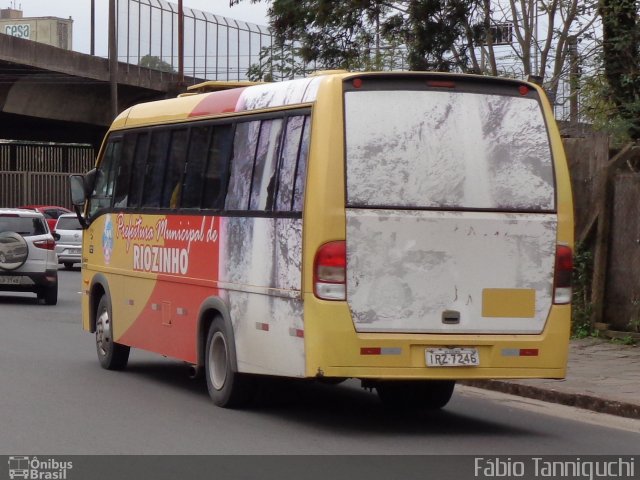 Prefeitura Municipal de Riozinho 7246 na cidade de Porto Alegre, Rio Grande do Sul, Brasil, por Fábio Takahashi Tanniguchi. Número da foto: #3581292.