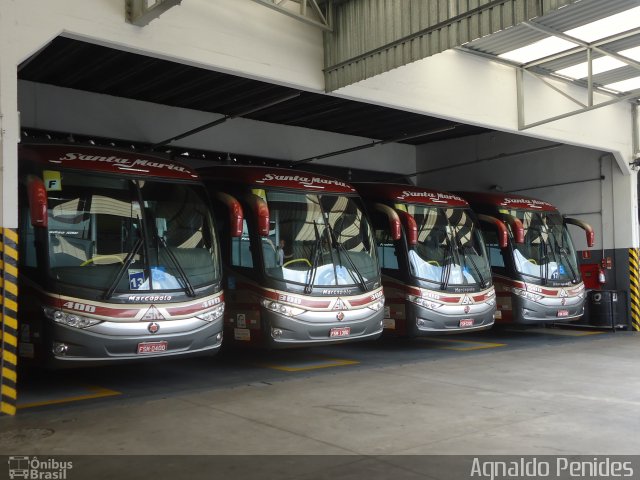 Santa Maria Fretamento e Turismo > Transportes Santa Maria(SP) 400 na cidade de São Bernardo do Campo, São Paulo, Brasil, por Agnaldo Penides. Número da foto: #3582500.