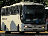 Viação Itapemirim 8201 na cidade de São Paulo, São Paulo, Brasil, por Rodrigo Coimbra. Número da foto: #3584215.