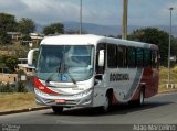 Rouxinol 550 na cidade de Belo Horizonte, Minas Gerais, Brasil, por Adão Raimundo Marcelino. Número da foto: #3588054.