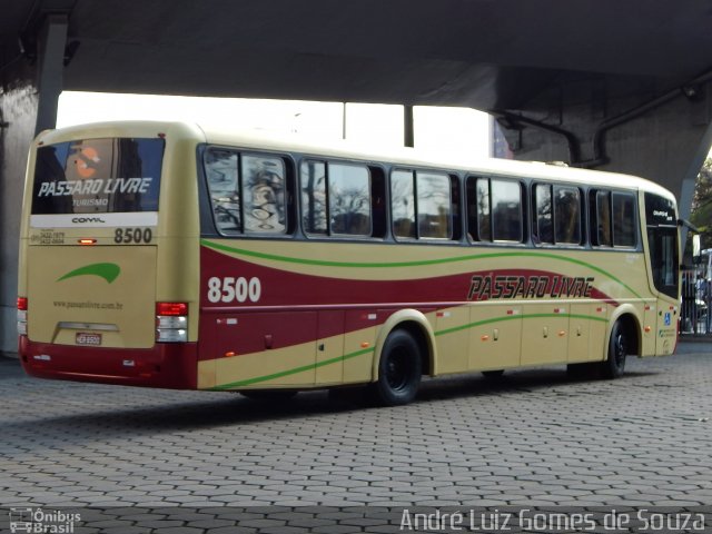 Viação Pássaro Livre 8500 na cidade de Belo Horizonte, Minas Gerais, Brasil, por André Luiz Gomes de Souza. ID da foto: 3589664.