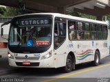 VIPE - Viação Padre Eustáquio 1445 na cidade de São Caetano do Sul, São Paulo, Brasil, por Gabriel Rossi . Número da foto: #3588567.