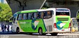 Pássaro Verde 11096 na cidade de Belo Horizonte, Minas Gerais, Brasil, por Rodrigo S. G Busólogo do Brasil. Número da foto: #:id.