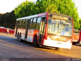 Express Transportes Urbanos Ltda 4 8817 na cidade de São Paulo, São Paulo, Brasil, por Caio  Takeda. Número da foto: #3595126.