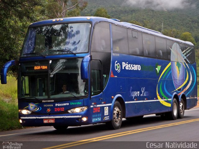 Pássaro Verde 2012 na cidade de Mariana, Minas Gerais, Brasil, por César Natividade. Número da foto: #3596849.