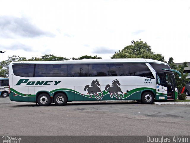Trans Poney 3907 na cidade de Mogi das Cruzes, São Paulo, Brasil, por Douglas Alvim. Número da foto: #3596345.