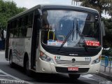 VIPE - Viação Padre Eustáquio 1113 na cidade de São Caetano do Sul, São Paulo, Brasil, por Gabriel Rossi . Número da foto: #3599499.