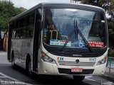 VIPE - Viação Padre Eustáquio 1117 na cidade de São Caetano do Sul, São Paulo, Brasil, por Gabriel Rossi . Número da foto: #3599483.