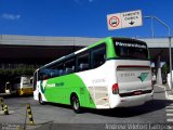 Pássaro Verde 29016 na cidade de Belo Horizonte, Minas Gerais, Brasil, por Andrew Campos. Número da foto: #:id.