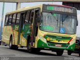 TREL - Transturismo Rei RJ 165.144 na cidade de Duque de Caxias, Rio de Janeiro, Brasil, por Jordan dos Santos Silva. Número da foto: #3603482.