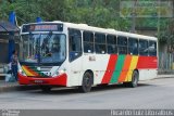 Viação Bom Jesus > VTL - Viação Trans Líder 1321 na cidade de Cubatão, São Paulo, Brasil, por Ricardo Luiz. Número da foto: #3545004.