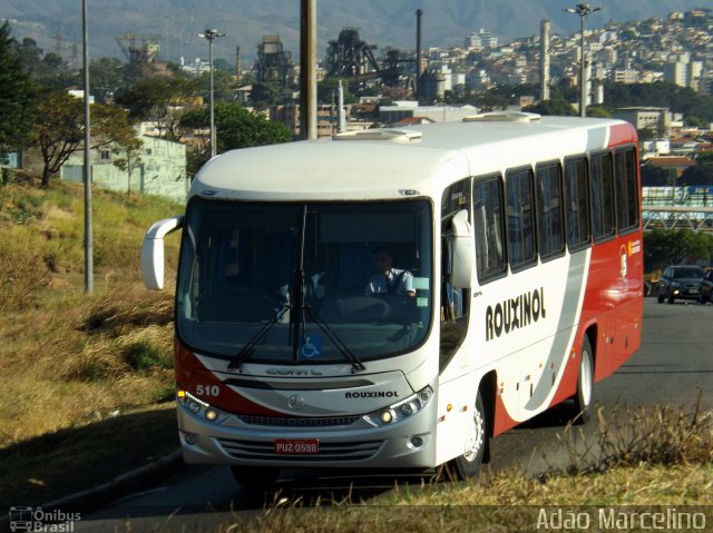 Rouxinol 510 na cidade de Belo Horizonte, Minas Gerais, Brasil, por Adão Raimundo Marcelino. ID da foto: 3605572.